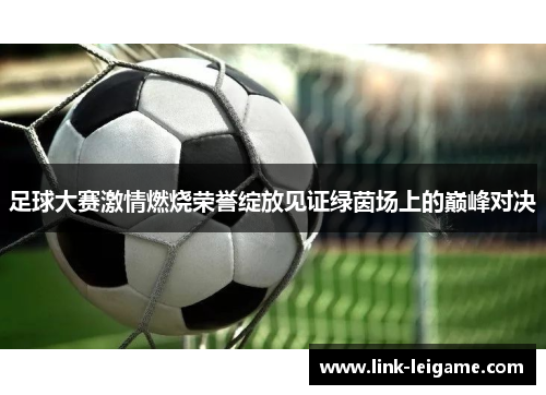 足球大赛激情燃烧荣誉绽放见证绿茵场上的巅峰对决