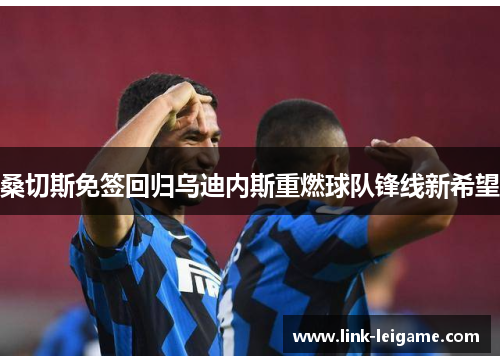 桑切斯免签回归乌迪内斯重燃球队锋线新希望