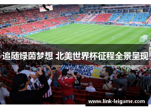 追随绿茵梦想 北美世界杯征程全景呈现