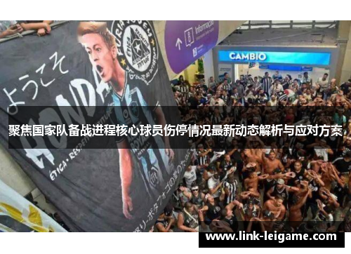 聚焦国家队备战进程核心球员伤停情况最新动态解析与应对方案